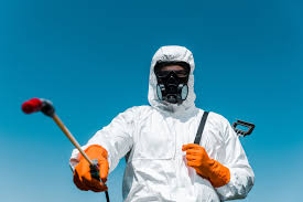 Emergency Pest Control in Socorro, NM